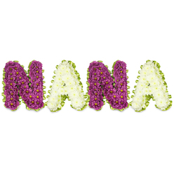 Set against a pristine, studio-white background, these sculpted letters form the word NANA in a manner both clear and tender, each character assembled from compact clusters of chrysanthemums. The first N and the second N are composed of saturated magenta-to-plum chrysanthemums, their densely packed petals creating a lush, velour surface punctuated by tiny yellow centers that catch the eye. The two A letters are fashioned from creamy-white chrysanthemums-soft, clean and serene-producing a gentle contrast that reads like daylight beside dusk. Each letter is outlined in a vivid lime green border, either a pleated ribbon or fine foliage, which crisply defines the shape while adding a fresh, hopeful accent. The arrangement sits slightly raised, the foam structure beneath lending dimensionality so the letters cast a modest shadow on the white plane; the overall effect is sculptural yet intimate. The scent is understated: a cool, green chrysanthemum perfume that suits the quiet reverence of memorial settings. As an experienced florist describing this piece to family members in Queensbury and nearby Kingsbury or Kenton, I would stress how the alternating colours make the name immediately legible at a funeral or celebration-of-life service, while the lime edging gives the tribute a subtle lift. The design speaks of steady affection and careful workmanship, a respectful and personalised floral message for a beloved grandmother.