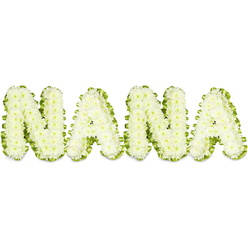 A dignified tribute spells out NANA in bold, sculptural letters crafted from hundreds of small, snowy white button chrysanthemums, set against a strikingly clean white background. Each letter reads as a cloud of tiny blooms, the densely clustered florets sculpted so precisely that the surfaces appear plush and comforting under a wash of soft, even light. Around the perimeter of each character a narrow, pleated ribbon of vivid green foliage frames the white flowers like a carefully tailored binding, the contrast sharpening the letters' silhouette while adding a gentle suggestion of life and renewal. The arrangement's textures are palpable: the chrysanthemums offer a fragile, papery softness; the green trim feels crisp and resilient; the overall three-dimensional build gives the letters a weight and presence appropriate for a memorial setting. Scent is understated here - a faint, clean floral note - while the visual language speaks of respect, remembrance and familial love. As a dedicated local florist might explain to a grieving family in Queensbury, this kind of personalized tribute is often chosen for viewings, memorial services and graveside farewells where a clear, legible message of love is needed. The presentation is intentionally unembellished - no competing colours, no excess - so that the name itself becomes the comfort. Delivered with quiet care to chapels and community venues across Queensbury and nearby Kingsbury, this composition is an expression of tender remembrance and steady support at a time of loss.