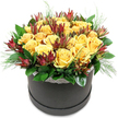 A modern hatbox flower arrangement takes centre stage in this image, set crisply against a pure white background so that every colour and contour is clearly defined. The base is a round, matte black hatbox, its minimalist silhouette and dark tone acting as a strong counterpoint to the bright, optimistic hues of the flowers above. Rising from the box is a full, rounded canopy of golden yellow roses, packed closely together so the blooms touch like friends leaning in for a warm embrace on a busy morning near Queensbury Station. Many of the roses are fully open, their velvety petals creating deep, spiralled centres that draw the eye, while a few are just beginning to unfurl, suggesting freshness and longevity. Threaded throughout this sunny dome are elegant stems of deep red to burgundy leucadendron, their pointed, layered bracts forming sleek, flame-like cones. The colour gradation, from rich maroon tips to muted greenish bases, brings a sophisticated contrast that keeps the arrangement from feeling overly sweet. Around the lower part of the bouquet, shiny dark green leaves form a neat, continuous ring, grounding the design and giving the impression of abundance and health. Peeking from between the roses and foliage are fine, feathery sprigs of lighter green filler, introducing a sense of movement, as if a gentle breeze from Queensbury Park had just brushed past. Just under the blooms, a slim trim of white lace circles the hatbox rim, its delicate pattern barely visible yet unmistakably romantic. The result is a bouquet that feels joyful, refined, and contemporary all at once-perfect for sending as a same-day delivery to celebrate a birthday, congratulate a colleague, or simply brighten a home in and around Queensbury with a burst of yellow warmth.
