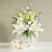The scene presents a sophisticated floral display arranged as if ready to grace a wedding table in Queensbury, perhaps for a reception in a minimalist restaurant just off Kingsbury Road. At the centre is a round, white, open-weave vase whose intricate latticework resembles sculpted wicker, casting soft, overlapping shadows on the crisp white surface below. From this airy vessel rises a lush bouquet dominated by white lilies, their large, trumpet-like blooms fully open and revealing pale green throats and cinnamon-toned stamens. Around them, lisianthus in shades of white and cream show subtle hints of pale lavender near their centres, some blossoms ruffled and open, others still curled as tender buds that hint at the unfolding of the celebration itself. Fine sprays of tiny white gypsophila add an ethereal haze between the larger flowers, while small deep purple accents draw the eye inward, providing a gentle contrast to the overall soft palette. The greenery is abundant and varied: slender, feathery leaves mingle with broader, glossy foliage, cascading slightly over the rim to soften the arrangement's silhouette. On the table in front of the vase lie two decorative spherical ornaments made from light-toned woven material, echoing the vase's texture and reinforcing the natural, crafted feel. The background is a softly textured wall in light beige, bathed in even, calm light that highlights the flowers' pristine whites and soothing purples. The composition feels peaceful and reflective, making it ideal for wedding celebrations, remembrance gatherings, or any elegant event in Queensbury where guests value calm beauty and thoughtful floral design.
