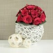 A refined floral centrepiece of deep red roses rests gracefully on a smooth white table, the kind of arrangement that would feel perfectly at home at a wedding breakfast in Queensbury or a candlelit dinner near the station. The roses are massed into a compact dome, each bloom rich with velvety petals layered in spirals, from tight central buds to wider outer whorls that soften the edges of the design. Between them, clusters of red Hypericum berries glimmer like tiny jewels, adding a fresh, berry-like texture and a slightly different shade of red that keeps the eye moving across the bouquet. A discreet collar of glossy, dark green leaves encircles the base, giving a gentle, natural finish and a touch of contrast against the stronger colours above. The flowers sit within a distinctive round vase made of interwoven white twigs or wicker, its open lattice creating a delicate globe that holds the arrangement almost like a nest. Light passes through its gaps, casting subtle shadows on the white tabletop and lending an airy, contemporary feel. To the left, two decorative wicker balls in natural beige tones lie on the same surface, one larger, one smaller, echoing the woven texture of the vase and bringing an additional organic note. Behind it all, a softly out-of-focus wall in warm beige or taupe provides a neutral, calming backdrop. The composition as a whole radiates intimacy and sophistication, ideal for a wedding table arrangement, anniversary celebration, or romantic meal at home, with same-day delivery easily imagined across Queensbury and the surrounding streets.