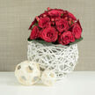 In this image, a lush, rounded bouquet of red roses takes pride of place, composed with the kind of precision and tenderness you'd expect from an experienced Queensbury wedding florist. The roses are a rich, velvety crimson, gathered tightly into a dome so that each bloom seems to lean lovingly into the next. Some heads are fully open, revealing layered spirals of petals, while others remain in half-open bud, suggesting romance just beginning to unfold. Tucked softly among them are small red hypericum-style berries, their smooth, bead-like surfaces catching the light and lending the arrangement a festive, almost sparkling quality. A neat ring of deep green leaves encircles the base, like a leafy bracelet that grounds the vivid red and adds a sense of natural freshness, much like the greenery of nearby Queensbury Park after the rain. The flowers are set in a striking white vase composed of slender, interlaced branches or wicker strips, forming an airy, openwork lattice that feels both handcrafted and contemporary. In the foreground on a pristine white surface, two cream-colored decorative balls made from woven wooden ribbons echo the same open, sculptural style, one slightly larger and closer, the other smaller and just behind, giving the composition a gentle sense of movement and depth. A warm beige background, softly textured like fine linen, keeps the focus firmly on the florals and their artistic container. The whole arrangement radiates intimate celebration and would be perfectly at home as a wedding table centerpiece for a Queensbury reception or a romantic gift delivered to a couple's home near Kingsbury Circle.