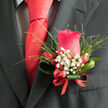 This image captures a distinguished red rose boutonniere resting against a dark grey lapel, styled with the understated confidence of a Queensbury gentleman dressed for a meaningful occasion. At its heart, a single pinkish-red rose blooms in lush, velvety layers, the petals appearing almost illuminated as they spiral inward, inviting both the eye and the touch. Encircling the rose, feathery sprigs of greenery stretch out lightly, evoking the easy, natural movement of leaves swaying near Canon's Park on a breezy day. Nestled among the foliage, clusters of miniature white gypsophila-baby's breath-punctuate the composition with tiny, star-like flowers that lend softness and grace. Shiny red berries gather at the base, offering a playful yet refined pop of colour, their smooth, waxy skins reflecting the light in a way that feels subtly festive. All elements are neatly bound together with a slim ribbon that echoes the rich scarlet of the tie just above, visually linking floral detail and formalwear into one harmonious statement. Although the photograph is silent, you can almost imagine the gentle, green-rose fragrance that follows the wearer through a Queensbury registry office, synagogue, or evening reception. The overall effect is dignified, inviting, and impeccably considered, as if a local florist has carefully designed every angle to look perfect in photos and in person. More than a simple accessory, this boutonniere reads as a floral signature-an expression of personality, romance, and pride worn close to the heart for life's most important celebrations in and around Queensbury.