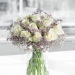 A graceful sympathy bouquet of white roses and lavender statice stands in a clear glass vase, beautifully lit against a soft, neutral backdrop that fades into misty tones of grey and white. The flowers are arranged in a rounded, balanced dome, with roughly two dozen creamy white roses forming the main body of the design. Each rose is meticulously placed so that their velvety petals, coiling inward in elegant spirals, can be fully admired. Some blooms show only a hint of opening, while others spread wider, creating a gentle rhythm across the surface of the bouquet. Subtle traces of pale green at the outer petals lend a natural freshness, as if the roses have just been unpacked from a cool flower market. Between the roses, feathery clusters of lavender and soft purple statice add a gentle veil of colour and texture, like a light mist settling around the central blooms. The cylindrical vase reveals straight green stems and crystal-clear water, grounding the airy arrangement with a clean, modern base. Soft natural light, similar to what you might see on a quiet afternoon near Queensbury Park or along the residential streets, flows in from one side, highlighting the contours of each petal and casting delicate shadows on the smooth white surface below. The overall mood is calm, dignified, and comforting. It feels like a bouquet that could rest beside a condolence card on a hallway table in Queensbury, or stand quietly at a memorial service, offering a wordless message of support, remembrance, and gentle hope during a difficult time.