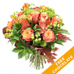 A warm, hand-tied autumn bouquet photographed against a clean white backdrop, its colours and textures celebrating the season with quiet confidence. The arrangement is anchored by large, open roses that shift from soft peach and apricot at their hearts to richer coral and russet on the outer petals, each bloom layered like a small painted canvas. Bright orange and sunny yellow freesia pepper the bouquet with slender, fragrant stems and delicate buds, their glossy petals catching the soft studio light. Dark, lustrous green foliage-broad leaves and finer sprigs-forms a generous, verdant base that makes the warm tones sing. Scattered among the blooms are lime-green hypericum berries, their smooth, playful clusters offering tactile contrast, and tight sprays of bright green Santini-type florets that add cool freshness to the warm palette. Deeper autumnal notes arrive in the form of reddish-brown oak leaves and burnished maple-like foliage, their lobed silhouettes imparting an unmistakable fall mood. The stems are neatly gathered and tied with natural jute twine, visible at the base and suggesting a bouquet made to be placed in a vase at the kitchen table or as a centrepiece for a cosy gathering. A bold diagonal orange banner on the lower right of the image reads FREE CHOCOLATE in white type, indicating a seasonal promotion accompanying the flowers. The overall impression is of a thoughtfully curated, textural composition that evokes damp leaves, warm spice, and the easy generosity of early autumn, perfect for Thanksgiving-style celebrations, birthdays, or sending a seasonal hug to someone across Queensbury or nearby Kingsbury streets.