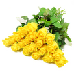 A full bouquet of nearly two dozen long-stemmed yellow roses sweeps across a pure white background, the arrangement captured in crisp, even light that highlights every curve and detail. The roses are gathered closely together, creating a dense, abundant cluster where each bloom can still be distinguished: some are still in bud, petals tightly wrapped, while others are gently opening to show rich layers of soft, golden yellow. The colour has a soothing warmth, more like early morning sun over Queensbury's quiet residential streets than a bold midday glare. Around the blossoms, deep green rose leaves form a natural collar, with subtle variations in shade and texture; a few leaves reveal lighter undersides, giving a hint of silvery green that adds visual interest. The stems extend together in a loose bundle towards one edge of the frame, their light green surfaces smooth and freshly cut, suggesting expert preparation by Flower Delivery Queensbury for a same-day tribute. There are no ribbons or glass vases in sight, just the flowers themselves, presented in a way that feels sincere and unembellished. This simple yet luxurious display of yellow roses is especially fitting for sympathy, offering a quiet message of support and remembrance to families arranging funerals or memorials nearby. The composition's clean lines and gentle contrast make it easy to imagine these roses placed in a favourite vase at home after a service, bringing a soft, comforting glow to a room while honouring the memory of a loved one with understated grace.