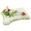 A rectangular pillow-shaped floral tribute photographed against a clean white background, meticulously built from a dense carpet of small, pristine white chrysanthemums that read as a soft, cloud-like surface. The chrysanthemums' tightly packed petals create a quiet texture you can almost feel beneath a hand - cool, slightly satiny, and uniformly plush - evoking calm and repose. Around the edge, a pleated band of pale lime-green satin ribbon frames the cushion with a subtle sheen and delicate frill, giving the composition a gentle, finished edge. On the upper left corner a naturalistic cluster draws the eye: two open white Oriental lilies with golden-yellow stamens, a graceful closed lily bud, and a grouping of deep burgundy spray carnations whose ruffled petals lend warm contrast and measured depth. Varied green foliage - feathery fern fronds and broader glossy leaves - nestles behind the flowers, adding shadow, life, and a verdant backdrop to the whites and reds. From that cluster, a slender arch of green salal or decorative wire traces a soft curve toward the right, guiding the gaze to a single deep red rosebud perched near the pillow's upper right; its outer petals are just unfurling, the velvety texture and concentrated color a quiet symbol of enduring love. The overall palette of white, soft green and rich red, under soft, even lighting, communicates sympathy and peaceful remembrance. As a florist who works with families across Queensbury and neighbouring streets, I see this arrangement as a traditional, comforting expression for memorial services and wakes, crafted to soothe and honour with quiet dignity.