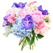 A lavish, circular bouquet is shown in crisp detail against a simple white background, allowing every nuance of colour and texture to shine. At its heart, large light pink peonies bloom in generous, ruffled layers, their soft, romantic petals giving an immediate impression of luxury and tenderness. Cradling these are round clusters of sky-blue hydrangeas, their many small petals overlapping to form a plush, cloud-like foundation that cools the palette and adds a feeling of calm. Scattered artfully through the soft pastels are deep violet Vanda orchids, each flat, open flower marked with a distinctive speckled pattern that injects a bold, contemporary edge. Threaded among the larger blooms, rosy pink and peach calla lilies curve in graceful arcs, their smooth, trumpet-like shapes catching the light and lending a modern, sculptural touch. Pale pink spray roses, still partly in bud, peek out between the other flowers, bringing fine detail and a whisper of classic romance. The arrangement is framed and softened by dark green foliage and silvery Dusty Miller leaves, whose velvety, grey-toned lobes offer a cool contrast and a hint of woodland texture. All the stems are carefully gathered and tied, emphasising the hand-crafted care behind the design, as though it has just been prepared in a local Queensbury florist's studio for same-day delivery to a birthday gathering by Queensbury Circle or an intimate dinner near the station. The bouquet radiates femininity, joy, and refined elegance, perfectly suited to anniversaries, romantic surprises, or any special Queensbury moment when you want flowers to express heartfelt emotion without saying a word.