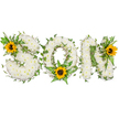 A horizontal, heartfelt floral tribute spells the word SON in three bold, capital letters crafted from a dense, cloud-like carpet of pristine white chrysanthemums. The chrysanthemums' small, velvety petals create a plush, tactile surface that reads soft and comforting, while their cool ivory tones suggest peace and quiet reflection. Dark green ivy vines trail and curl through each letter, their glossy leaves woven around the white blooms to give depth, structure, and an evergreen sense of continuity. Lush fern fronds and pointed leafy sprigs peek from beneath the flowers, adding lighter green highlights and a natural, garden-fresh texture. Each letter is punctuated by a single, radiant sunflower with broad golden-yellow petals and a distinct dark brown centre: one nestles on the upper left curve of the S, another rests at the lower centre of the O among the ferns, and a third crowns the upper right of the N. Those sunflowers bring a warm, hopeful note-brightness against the serene white and green palette-suggesting memories that glow even in grief. Soft studio lighting and a stark white background isolate every detail, from the chrysanthemum's layered florets to the sunflower's coarse centre, so the composition reads clearly for viewing and for description. As a local Queensbury florist might explain when arranging a sympathy tribute, this piece balances quiet dignity with comforting warmth, making it an appropriate memorial for a beloved son and a gentle emblem of enduring love and remembrance.