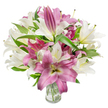 A luminous, artfully arranged bouquet of oriental lilies fills the frame - a plentiful mix of creamy off-white and rich fuchsia-pink blooms set against a crisp white background. The composition reads like a quiet celebration: many lilies are fully open, their broad, silky petals forming trumpet and star-like silhouettes while delicate stamens with pale anthers and a hint of pollen create a gentle focal point. The white lilies carry a soft cream tone with faint yellow-green at the throat, and the pinks move from deep magenta to velvety fuchsia with subtle lighter veins and creamy centers that give the arrangement depth. Dark green, lance-shaped leaves thread through the flowers, their glossy surfaces and pointed tips adding fresh structure and a garden-fresh contrast to the petals. The stems are gathered in a simple clear glass vase at the base of the image; the transparent vessel reveals neatly trimmed green stems and clean water, a small but important signal of freshness and care. Bright, even studio lighting sculpts the petal textures and catches the slight sheen on the leaves, making the lilies appear almost tactile and fragrant - imagine a soft, sweet perfume that fills a quiet kitchen on a spring morning. As a local Queensbury florist might suggest, this bouquet suits birthdays, anniversaries, Mother's Day or simply lifting a room's spirit; it reads as both elegant and approachable, carrying a sense of thoughtful craftsmanship that resonates with homes around Queensbury Station, Kingsbury and nearby Wembley.