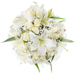 Seen from a soft, top-down vantage, this large round bouquet reads like a quiet morning in bloom: pure white lilies with broad trumpet petals sit at the centre, their pale yellow-green stamens punctuating the open faces, while clusters of creamy ivory roses hover in various stages between tight bud and half bloom. Tiny white Baby's Breath (Gypsophila) is woven through the composition, creating a frothy, cloud-like texture that softens the bouquet's silhouette and catches the light like fine lace. A few bright green leaves peek from beneath the massed blooms around the outer ring, giving a fresh contrast that keeps the white tones luminous rather than flat. The petals' velvety curves and the lilies' glossy sheen suggest a cool, clean studio light that highlights subtle shadows and the layered depth between blooms. There's an understated scent implied - the lilies' sweet, heady perfume balanced by the gentle, honeyed note of roses - a fragrance that would suit a serene wedding or a quiet, thoughtful gift. The arrangement's dense, symmetrical composition communicates careful hand-tying and experienced floral balance, a classic choice for bridal bouquets, christenings, or an elegant sympathy tribute. As a local floral piece intended for Queensbury and the surrounding Wembley and Kingsbury neighbourhoods, this bouquet evokes timelessness and calm: a statement in whites that reads as both celebration and comfort, ready to be carried down an aisle or presented at the door with sensitivity and grace.
