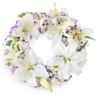 A classic circular funeral wreath, rich with white and soft violet blooms, is photographed against a stark white background that makes its colours and textures seem especially calm and clear. The wreath is dominated by large white Oriental lilies, their wide, satin-smooth petals gently arcing outward to display soft green centres and long stamens dusted in brownish-gold pollen. Some lilies are fully open, their star-shaped faces serene and welcoming, while others remain partially closed or resting in neat buds, capturing different stages of bloom and adding a tender sense of time and transition. Threaded delicately between the lilies are ruffled Lisianthus-type flowers, white petals tipped with lavender and purple, as if lightly brushed with colour. These smaller blooms soften the starkness of the white and bring a subtle, almost whispered contrast that suits moments of mourning. Beneath and around the flowers, muted green foliage and slender leaves offer a gentle framework, giving the wreath a fresh, garden-inspired look reminiscent of the calm edges of Queensbury's residential gardens and green corners. The unbroken ring shape symbolises eternity and enduring love, making this design especially suited for funerals, cremation ceremonies, or memorial gatherings held in and around Queensbury. The overall impression is peaceful and respectful, as though the wreath has just been arranged by a caring local florist and set aside, ready for same-day sympathy delivery to a church, chapel of rest, or family home, where it will stand as a fragrant, dignified tribute during a time of loss.