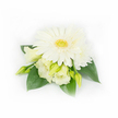 A compact, elegant corsage is photographed against a pristine white background: at its heart sits a large, fully open white Gerbera daisy, its smooth, feather-like petals fanning outward toward a textured yellow-green centre that feels both cheerful and refined. Surrounding the Gerbera are several creamy Lisianthus blooms and buds - two partially unfurled flowers reveal their soft, ruffled edges in a pale buttery ivory that catches the light with a satiny sheen. A small layered white daisy or chrysanthemum peeks from the upper right, adding visual depth and delicate complexity to the cluster. Slender, light green Lisianthus buds, some tightly closed and others just beginning to breathe open, give the piece a gentle sense of movement and promise. Broad, deep emerald leaves cradle the flowers, their glossy surfaces and slightly waxy texture providing a lush, grounding contrast to the pale blooms. On the right side, a few tiny, shimmering white pearl beads are subtly woven among the foliage, a discreet flourish that signals this piece's suitability for formal wear such as a bridegroom's boutonnière or a mother-of-the-bride wrist corsage. The lighting is soft and diffuse, emphasising creamy whites, pale yellows and fresh greens while keeping the overall mood calm and understated. As a local florist who arranges pieces for Queensbury weddings and small celebrations near Queensbury station and surrounding roads, I picture this corsage pinned to a lapel on a cool spring morning, its cool, clean scent and velvety textures recalling dew on garden petals and the quiet anticipation of a cherished moment.
