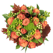 Seen straight from above, this autumnal bouquet reads like a small, sun-warmed orchard captured in blossom. Large, fully opened roses in soft peach and coral-orange form the central chorus; each bloom shows a gentle bicolour, the inner petals glowing warm and tender while outer edges carry a russet, almost reddish-rust tint that suggests fallen leaves. Interwoven between the roses are bright clusters of Hypericum berries-some a vivid lime-green, others a creamy pale yellow-whose glossy, bead-like forms catch light and add a playful, tactile contrast to the velvety petals. Punctuating the palette are cushions of Green Trick dianthus, moss-like and lush, their pea-green pom-poms offering a soft, tactile texture that feels like cool moss under the hand. Deep, lobed leaves in burgundy and burnt orange echo autumn maples, grounding the composition with rustic weight, while broader, shiny green foliage fills and frames the bouquet to create a full, generous silhouette. The arrangement sits against a crisp white background with soft, diffuse lighting that highlights the velvety rose petals and the subtle sheen of foliage, evoking the hushed warmth of an autumn morning walk through Fryent Country Park or along Queensbury High Road. There is a subtle earthy fragrance suggested-mossy, faintly sweet berries beneath the rose perfume-that completes the sensory picture. Intended as a cosy seasonal centrepiece for Thanksgiving or a thoughtful gift for a neighbour in Queensbury, this bouquet balances sophistication with homey charm, celebrating harvest tones and gentle abundance in a way that feels both timeless and lovingly hand-crafted.