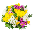 Photographed cleanly against a pure white background, this bouquet bursts with the kind of vibrant warmth that feels right at home in Queensbury's friendly neighbourhoods. At the centre, voluminous yellow chrysanthemums form a glowing, textured core; their rounded, many-petalled heads vary from tight buds to fully opened blooms, creating an engaging mix of shapes and stages. Between them, clusters of buttery yellow spray roses appear as both small buds and partially opened flowers, their layered petals adding sophistication and a gentle, sweet fragrance to the composition. Crisp white daisy chrysanthemums, each with a noticeable light-green centre, are scattered generously through the bouquet, bringing a sense of clarity and fresh simplicity, like a cool breeze passing through gardens off Cumberland Road. Bold daisy-like blooms in deep magenta and rich purple thread through the yellows and whites, their intense colours and bright yellow centres lending the arrangement depth, contrast, and a playful, celebratory spirit. Subtle touches of softer pastel pink or lavender blossoms are tucked here and there, smoothing the transitions between tones and adding a romantic whisper without overwhelming the design. The entire arrangement is cradled in lush, dark green foliage-likely Ruscus or Salal-whose glossy leaves offer a sturdy, natural backdrop, rounding out the shape and enhancing the impression of abundance and freshness. The lighting is soft but clear, allowing every petal, bud, and leaf to be seen in fine detail. This bouquet feels ideal for brightening a Queensbury kitchen table, welcoming someone to a new home, or sending a message of cheerful support with same-day local flower delivery.