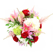 A richly detailed, top-down view reveals a luxurious mixed bouquet set against a pristine white background, every bloom clearly defined and glowing under soft studio light. Deep red roses form a passionate, velvety centre, their spiralled petals creating rich shadows and highlights that convey depth and intensity. Radiating from among them, pink stargazer lilies lift their star-shaped petals, some widely open to reveal speckled centres and golden stamens, others in graceful bud, promising continued beauty over several days. Encircling these focal flowers, large, fluffy clusters of creamy white hydrangeas-or similar ruffled blossoms-provide generous volume, their layered petals evoking a cloud-like softness. Bright lime green Green Trick dianthus or pom-pom chrysanthemums nestle between the whites and pinks, their fine, mossy texture adding a distinctive, modern twist. Soft plumes of blush pink astilbe sweep outward from different points in the design, giving the arrangement a feathery halo and a sense of gentle motion, as though caught in a light breeze drifting over Queensbury's gardens. Tiny accents of lavender and fuchsia filler blooms break up the larger shapes with delicate dots of colour. Around the outside, a collar of deep green, glossy leaves and lighter, fern-like greenery frames the bouquet, enhancing the vivid reds, pinks, whites, and greens while adding structure and freshness. The overall effect is one of joyful elegance and considered craftsmanship, ideal for expressing love, marking an anniversary, or creating a romantic focal point in a Queensbury home, whether placed on a dining table or beside a sunny bay window.