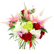 This hand-tied bouquet is captured against a pure white background, every bloom standing out with the clarity of a fresh delivery just leaving a Queensbury florist's workbench. A cluster of deep red roses forms the emotive heart of the design, their velvety petals densely layered, echoing classic romance and intimate gestures. Around them, pink lilies unfurl gracefully, some fully open with wide, gently curving petals and pale, almost luminous centres, others still held in sleek, closed buds that promise a gentle release of fragrance over the coming days. Interlaced with these star blooms are thick pillows of ruffled white flowers, akin to lush carnations or garden roses, which create a soft, cloud-like foundation and give the bouquet its generous, abundant shape. Drawing the eye toward the middle is a distinctive lime green mound of textured dianthus, its frilled tendrils forming a neat sphere that adds an unexpected pop of vivid green and a sense of playful modernity. Sprays of delicate, feathery pink astilbe rise and drift outwards from the core, casting a light, airy silhouette reminiscent of early morning mist along the paths of nearby parks in Queensbury. Threaded between the major flowers are petite clusters of fuchsia and lavender-toned blossoms, small yet radiant, adding depth and tiny sparks of colour. Dark green leaves, polished and fresh, peek through the arrangement, framing the brighter blooms and enhancing the sense of natural lushness. At the base, the stems are cleanly cut and drawn together with a slim red satin ribbon, clearly indicating a hand-tied finish ready to present. The bouquet conveys warmth, joy, and thoughtful sophistication, ideal for birthdays, anniversaries, or simply to brighten a Queensbury home with something truly special.