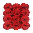 Seen from directly above, this arrangement presents twelve sumptuous red roses, positioned in a perfectly ordered 3x4 grid and contained within a dark, almost shadowy box that frames them like a work of art. Each bloom is at full, lush openness, with petals layered in tight spirals that slowly loosen toward the outer edges, giving every flower its own distinct yet harmonious pattern. The roses press gently against one another, so their velvety petals overlap in places, forming a seamless field of crimson that dominates the entire image. The red tone is rich and saturated, reminiscent of velvet theatre curtains, with subtle transitions where the light brushes the curves of each petal and disappears into velvety, wine-dark folds at their centres. A slender glint along the lower edge of the container hints at a polished, gift-worthy box, similar to the chic hatboxes you might see being carried from a florist near Queensbury station on Valentine's Day or an important anniversary. There are no stems, leaves, or accessories in sight, which keeps the composition elegantly minimal and allows the craftsmanship of the floristry to shine. The image speaks of intention and romance, the kind of roses chosen not just for a fleeting moment but to symbolise lasting affection. It is easy to imagine this box being opened in a quiet Queensbury flat after a long day, the sudden burst of colour transforming the room and the imagined fragrance softening the mood. The photograph captures both the tactile luxury of velvety petals and the emotional weight of a classic, heartfelt gesture.
