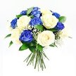A rounded bouquet of roses in cool blue and gentle cream tones sits centre frame against a flawless white background, the overall impression calm, elegant, and deeply comforting. The blue roses are a vivid sapphire shade, with velvety petals packed in many layers, some blooms fully open like small, intricate rosettes, others just beginning to unfurl, hinting at movement within the stillness of the arrangement. Intermixed with them are creamy roses in softer hues, ranging from warm ivory to pale, almost white tones, their smooth petals curling outward to form generous, cup-shaped blossoms that soften the intensity of the blue. Sprinkled through the roses are airy sprays of white baby's breath, each tiny flower a dot of light that brings a gentle, cloud-like effect, much like morning mist over Queensbury's quiet streets. Around the edges, deep green foliage adds structure and a fresh, natural contrast, its leaves slightly glossy as if recently misted with water in a local workshop. The stems, long and straight, are gathered neatly below in a tight hand-tied bundle, ready to be placed in a vase or laid as a respectful tribute. The lighting is clear and even, revealing delicate textures-the velvet of the blue petals, the satin smoothness of the cream roses, and the fine, feathery gypsophila-without any harsh glare. Crafted as a sympathy bouquet for thoughtful delivery across Queensbury, this arrangement carries a message of peace, remembrance, and gentle support for those facing loss.