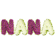A lovingly crafted three-dimensional floral tribute spells out the name NANA across a crisp white backdrop, each letter built on a contoured foam base and covered with hundreds of small chrysanthemum heads. The sequence alternates between a rich, velvety magenta-plum chrysanthemum for the first N and the second N, and a soft, creamy white chrysanthemum for each A, the tiny yellow centers of the purple blooms peeking like warm pinpricks of light. Every letter is neatly edged with a bright lime-green border-pleated satin ribbon or closely packed foliage-that undulates gently around the contours, giving each character a fresh, almost springlike halo. The flowers are tightly wired and clustered so the surface reads as a single plush plane; from a few inches away the texture becomes a woven carpet of petals, while close up you can see the delicate serrations of each floret. Soft daylight from the studio highlights the subtle sheen on the white blooms and deepens the plum tone of the chrysanthemum faces; there is a faint, comforting scent of chrysanthemums in the air, clean and slightly tea-like. Intended as a sympathetic, personalised memorial piece, this NANA tribute is styled for wakes, funeral services, or graveside farewells-an expression of steady love and respect. As a local florist in Queensbury might suggest when arranging family tributes, the alternating palette balances solemnity with a tender warmth, offering a readable, heartfelt message that honours a grandmother's memory with quiet dignity and thoughtful craftsmanship.