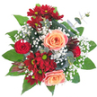 Cradled against a clean, white studio backdrop, this round, densely packed bouquet feels like a small, private garden lifted into the light. Two large peach roses sit at the centre, their petals softly unfurling and catching a faint blush of pink at the edges, radiating a warm, tender glow. Around them, deep crimson and burgundy chrysanthemums with unexpected lime-green button centres add bold contrast and a cheerful, almost daisy-like energy. A single, smaller red rosebud peeks out, its classic silhouette a quiet punctuation of romantic intent. Clouds of tiny white baby's breath weave through the composition, their lace-like clusters bringing an airy softness that balances the richer blooms. Lush, broad dark-green leaves form a stable base, while rounded, silvery-green eucalyptus leaves snake through the arrangement with modern elegance and a subtle savoury scent. A spiky, deep burgundy protea-like bloom introduces exotic texture and a dramatic focal note that draws the eye across the bouquet. The overall palette - passionate reds, soft peach, crisp white, and verdant greens - reads as celebratory yet intimate, perfect for marking an anniversary, lifting a kitchen table on a Sunday morning, or sending a heartfelt thank-you. The arrangement is lit with soft, even daylight that highlights petal textures and the gentle sheen of foliage, and the composition shows the hand of an experienced florist who understands balance, rhythm, and scent. Local to Queensbury, this bouquet would arrive fresh from local supply routes and make a calm, confident statement of affection or congratulations in any nearby home or office.